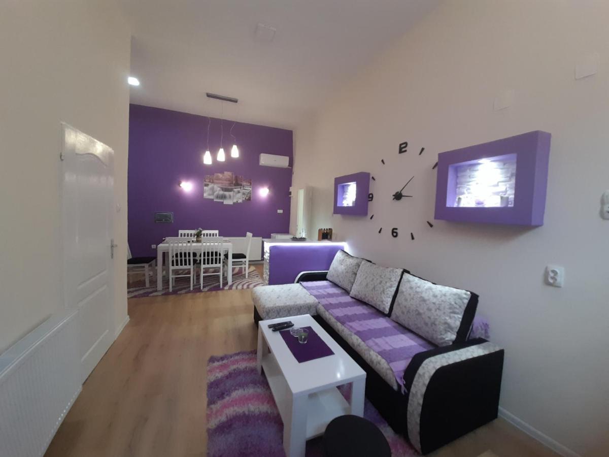 Apartman Lela Vrsac Extérieur photo