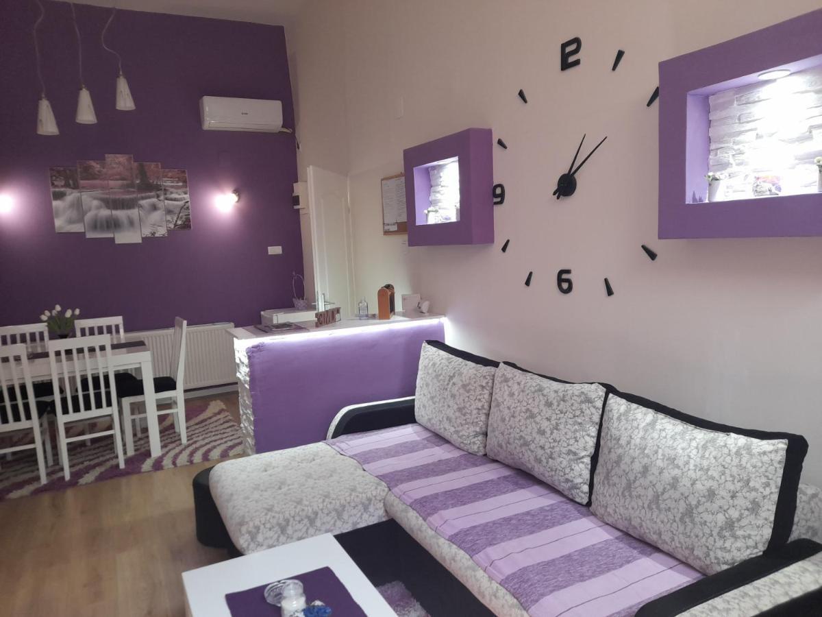 Apartman Lela Vrsac Extérieur photo