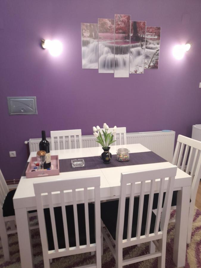 Apartman Lela Vrsac Extérieur photo