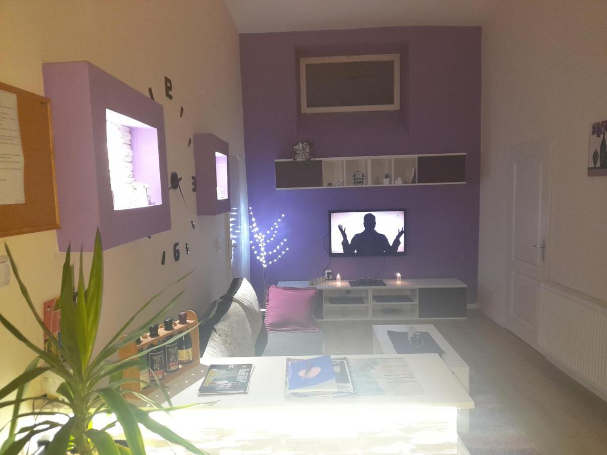 Apartman Lela Vrsac Extérieur photo