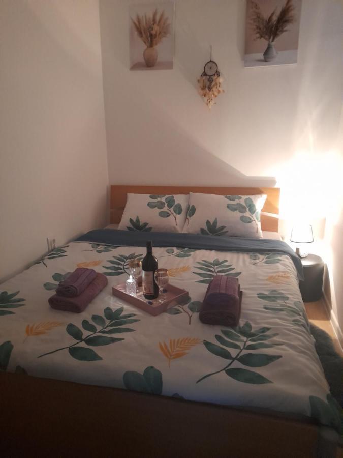 Apartman Lela Vrsac Extérieur photo