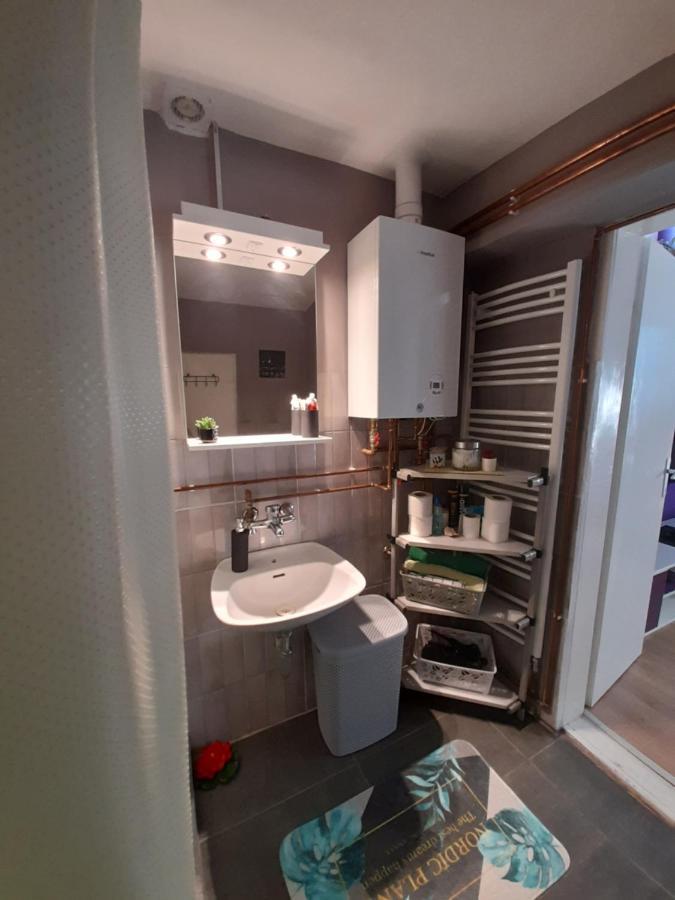 Apartman Lela Vrsac Extérieur photo