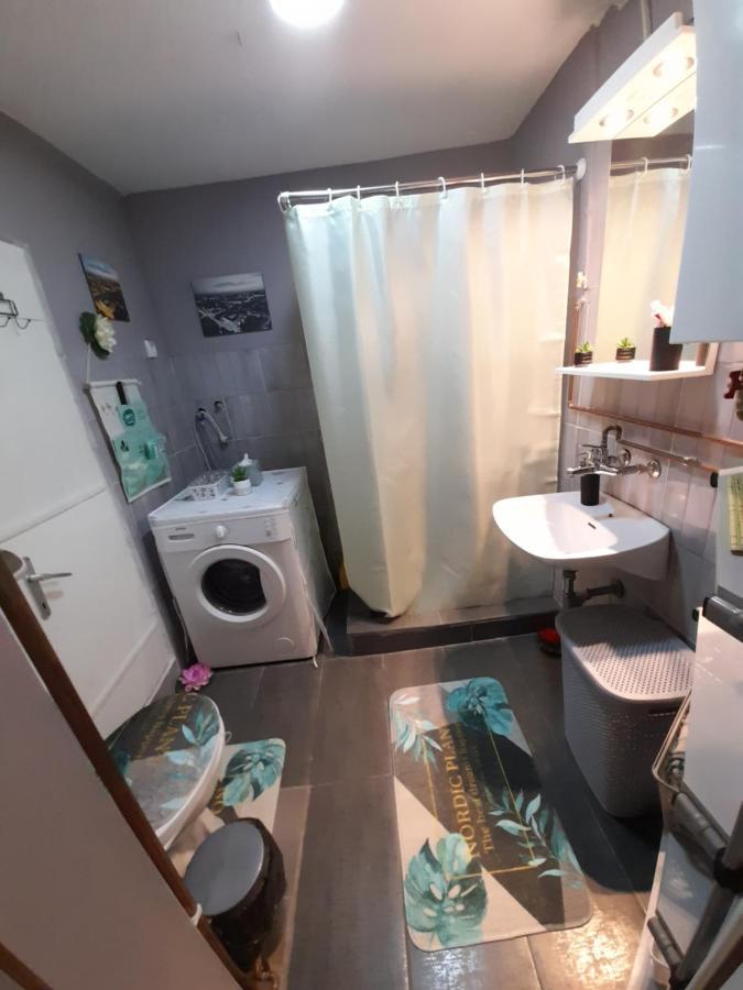 Apartman Lela Vrsac Extérieur photo
