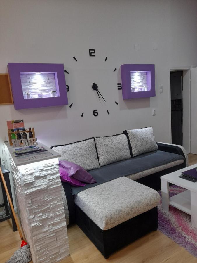 Apartman Lela Vrsac Extérieur photo
