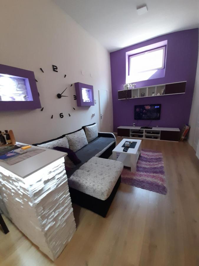 Apartman Lela Vrsac Extérieur photo