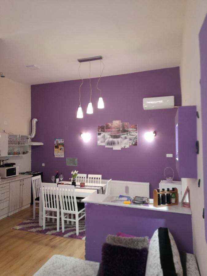 Apartman Lela Vrsac Extérieur photo