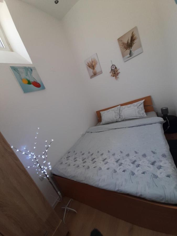 Apartman Lela Vrsac Extérieur photo